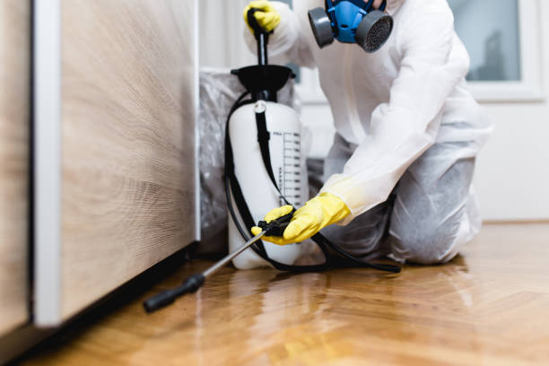 Trusted Lone Jack, MO Pest Control Experts