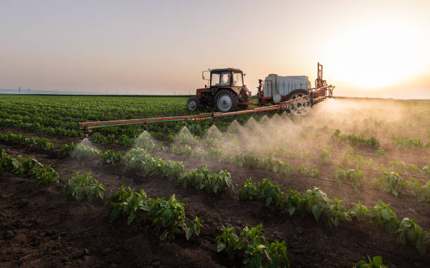 Best Pest Prevention Services  in Lone Jack, MO