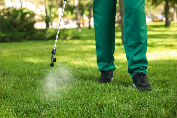 Best Termite Control Services  in Lone Jack, MO