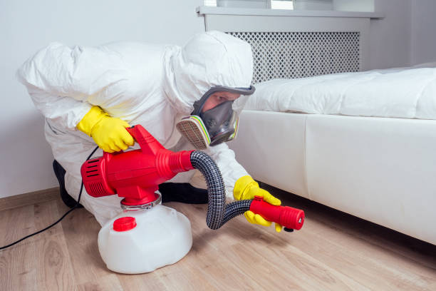 Best Commercial Pest Control Services  in Lone Jack, MO